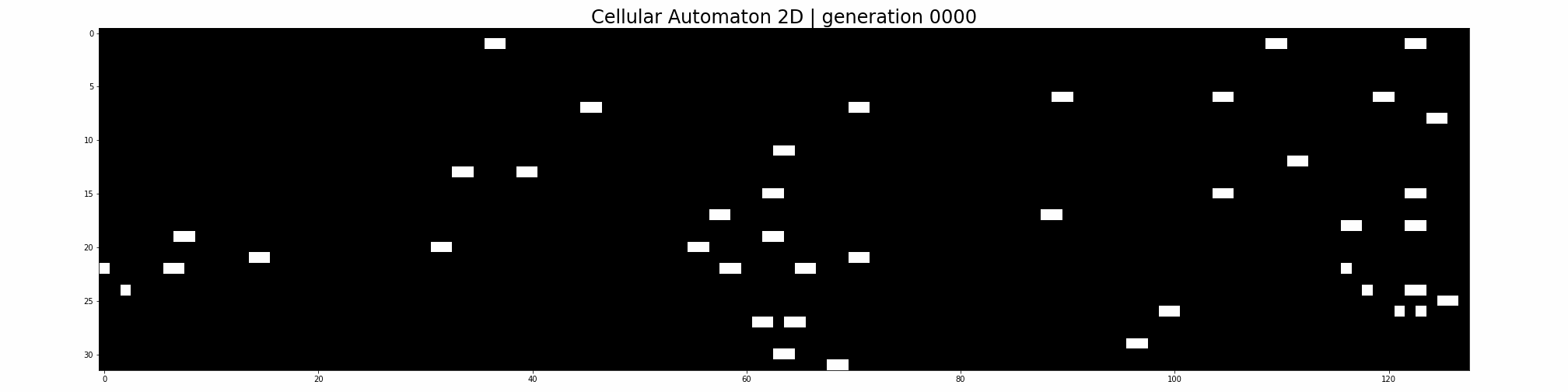 cellular automaton 2D