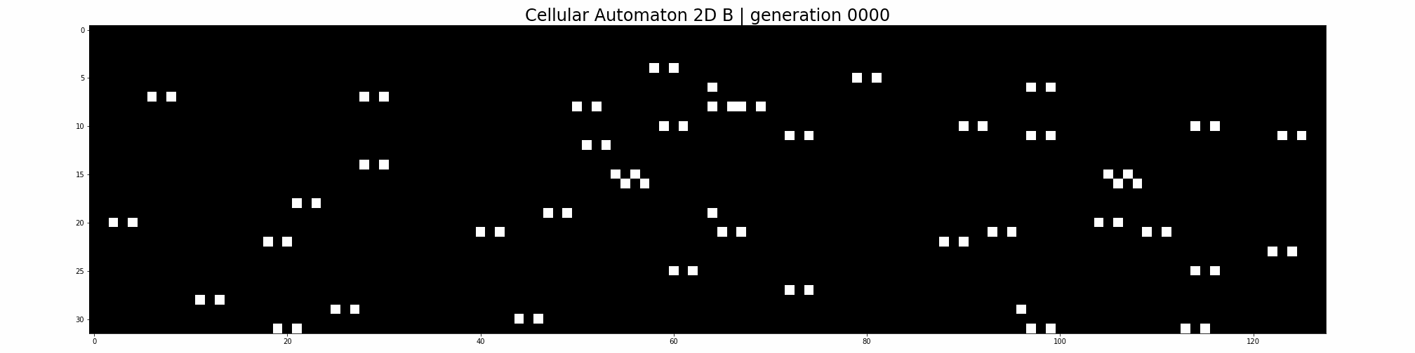 cellular automaton 2D B